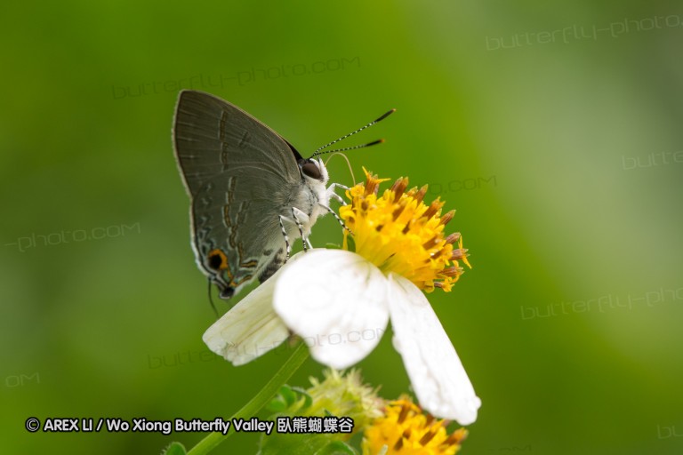 120501_fy_08.jpg