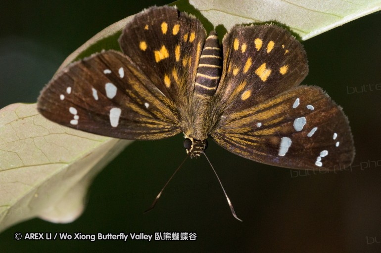 120611_nankunshan_03.jpg