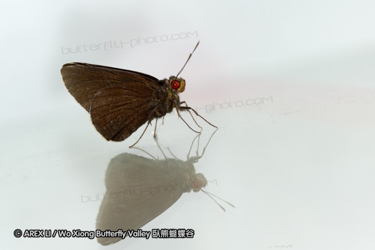 120624_dadungshan_02.jpg