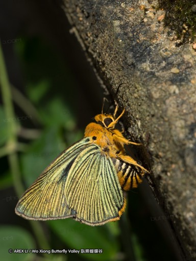 120624_dadungshan_24.jpg