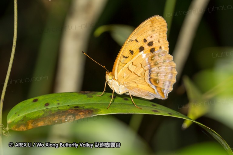 120625_dadungshan_13.jpg