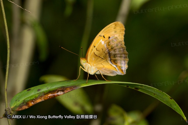 120625_dadungshan_16.jpg