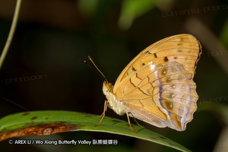 120625_dadungshan_18.jpg