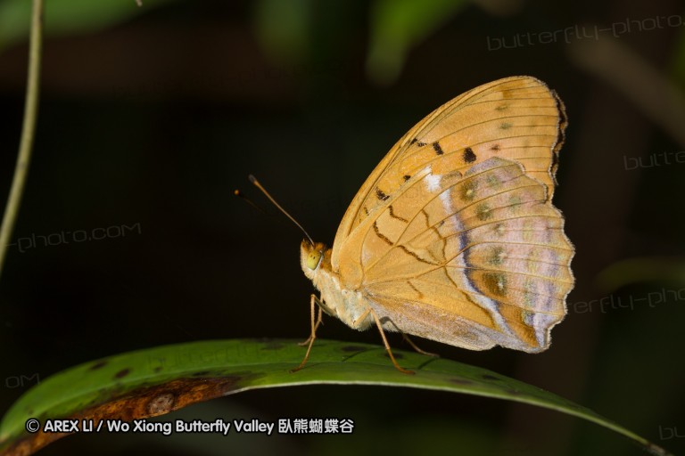 120625_dadungshan_19.jpg