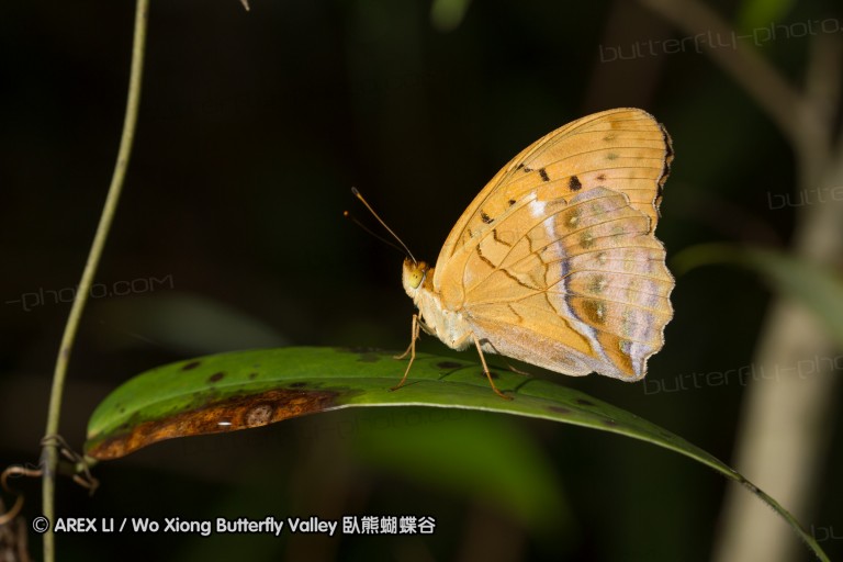 120625_dadungshan_20.jpg