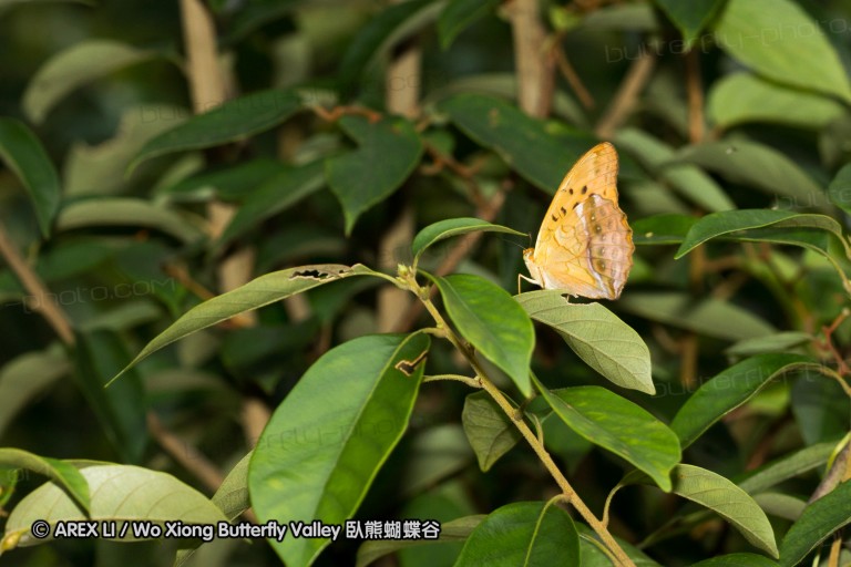 120625_dadungshan_22.jpg