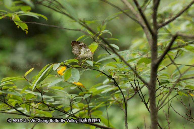 120625_dadungshan_31.jpg