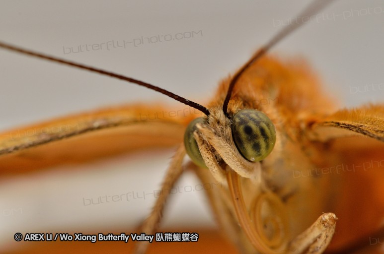 120630_dadungshan_03.jpg