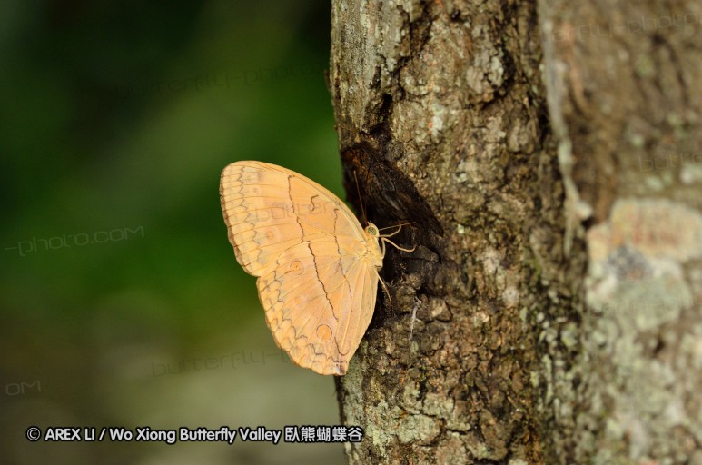 120630_dadungshan_09.jpg