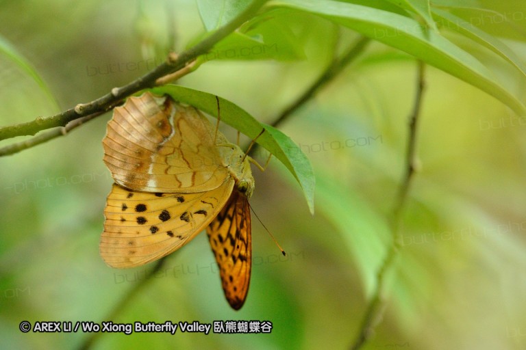 120630_dadungshan_30.jpg