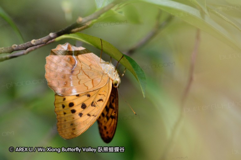 120630_dadungshan_32.jpg