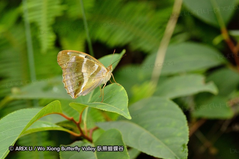 120630_dadungshan_41.jpg