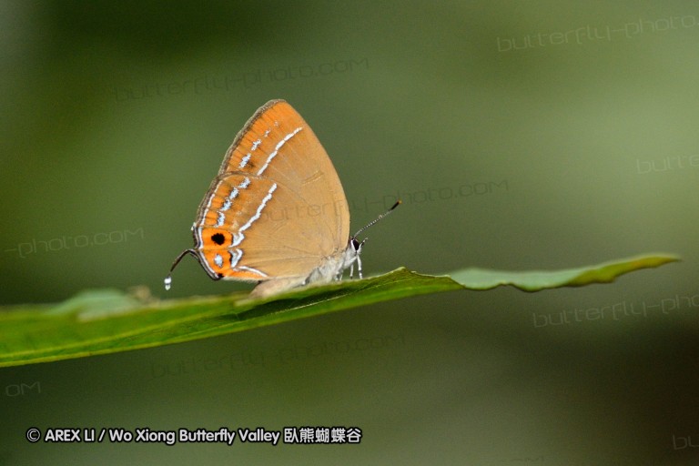 120630_dadungshan_44.jpg