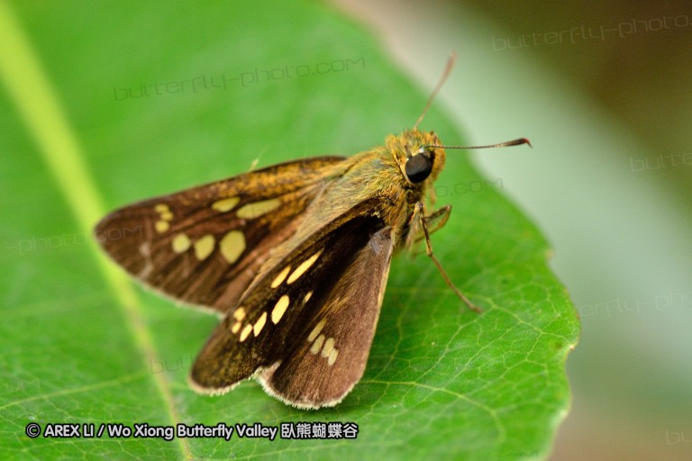 120630_dadungshan_53.jpg