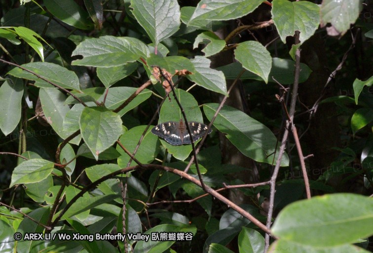 120630_dadungshan_56.jpg