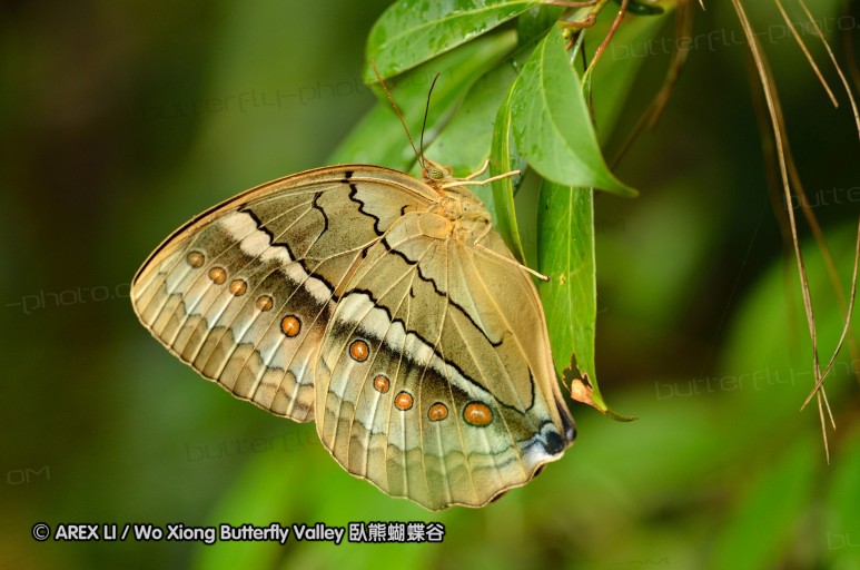 120701_dadungshan_30.jpg