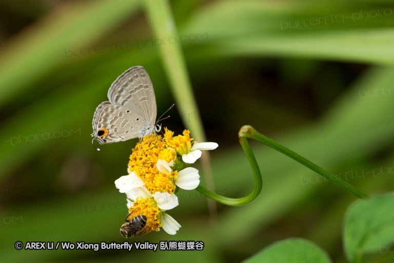 120804_yl_02.jpg