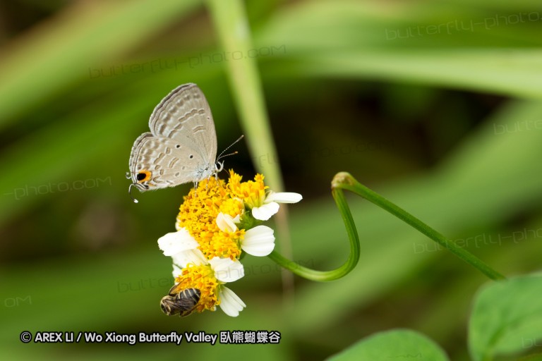 120804_yl_03.jpg