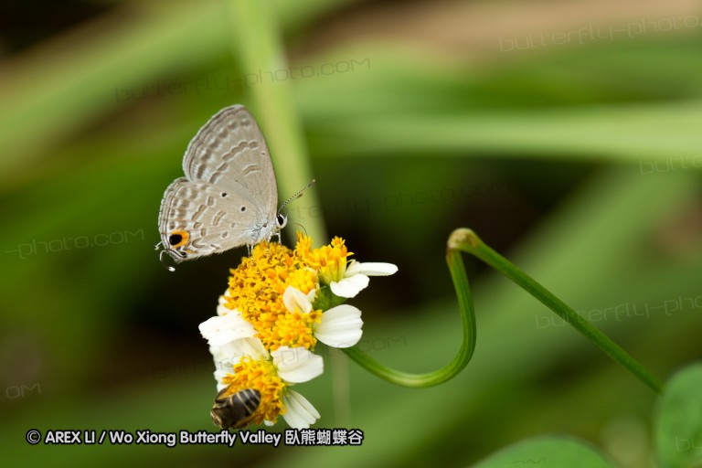 120804_yl_04.jpg