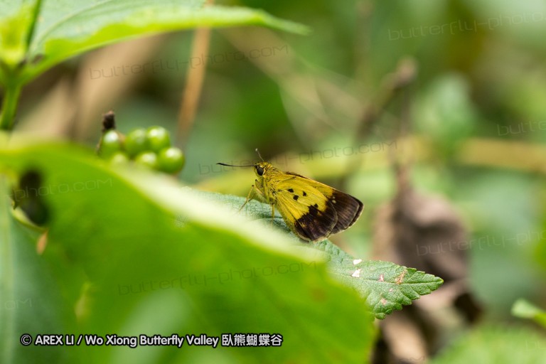 120805_tpk_11.jpg