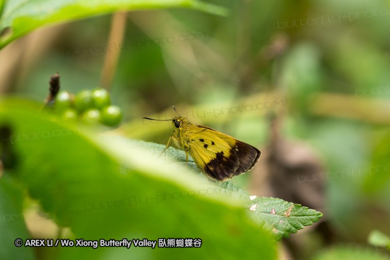 120805_tpk_12.jpg