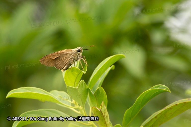 120805_tpk_24.jpg