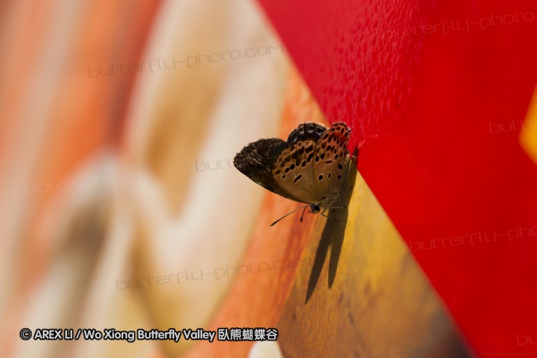 120902_seoul_12.jpg