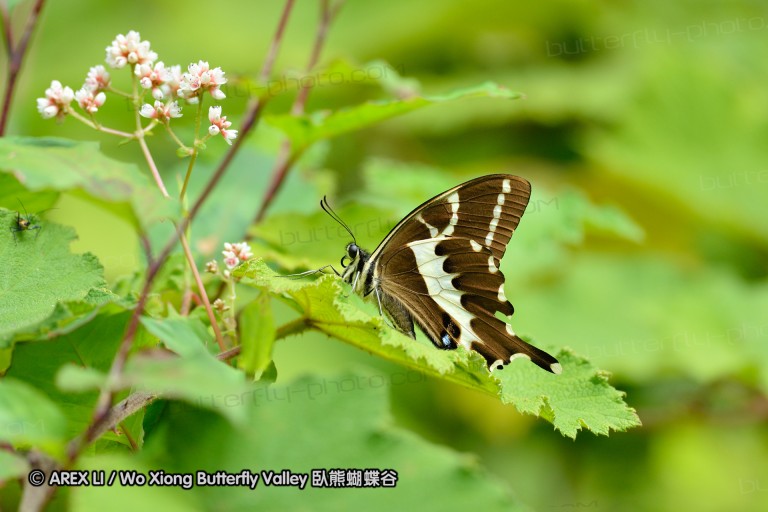 121002_andasibe_063.jpg