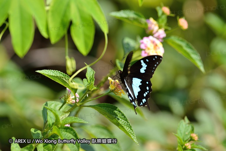 121002_andasibe_182.jpg