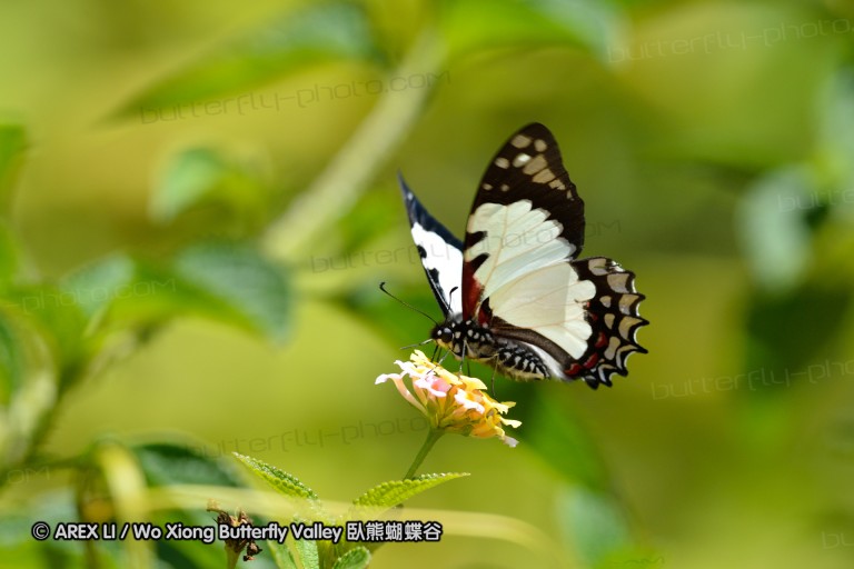 121003_andasibe_097.jpg