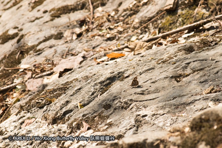 130211_palau_52.jpg