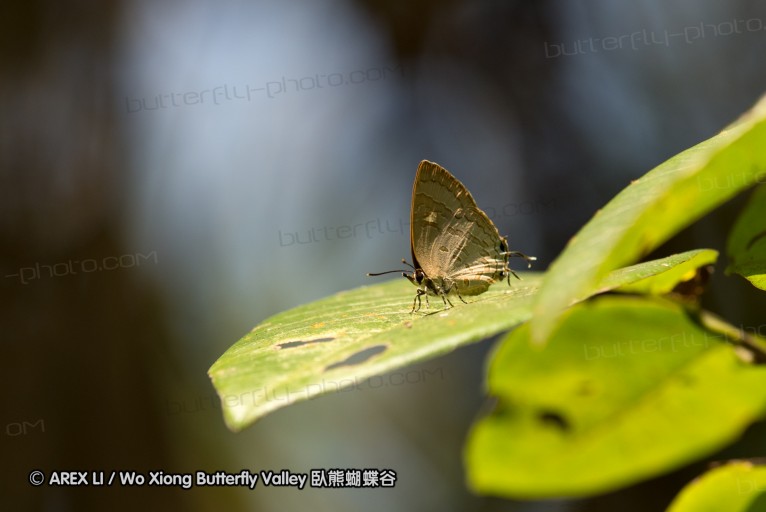 130212_kkc_hotspring_06.jpg