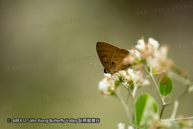 130213_huaiyang_17.jpg
