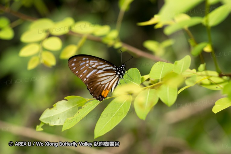 130213_huaiyang_50.jpg