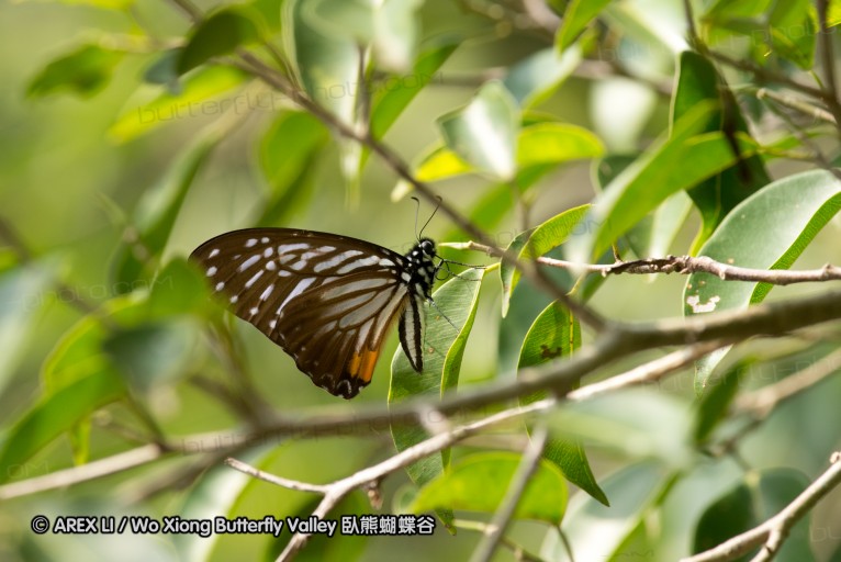 130213_huaiyang_52.jpg