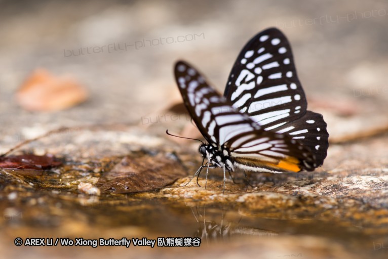 130213_huaiyang_61.jpg