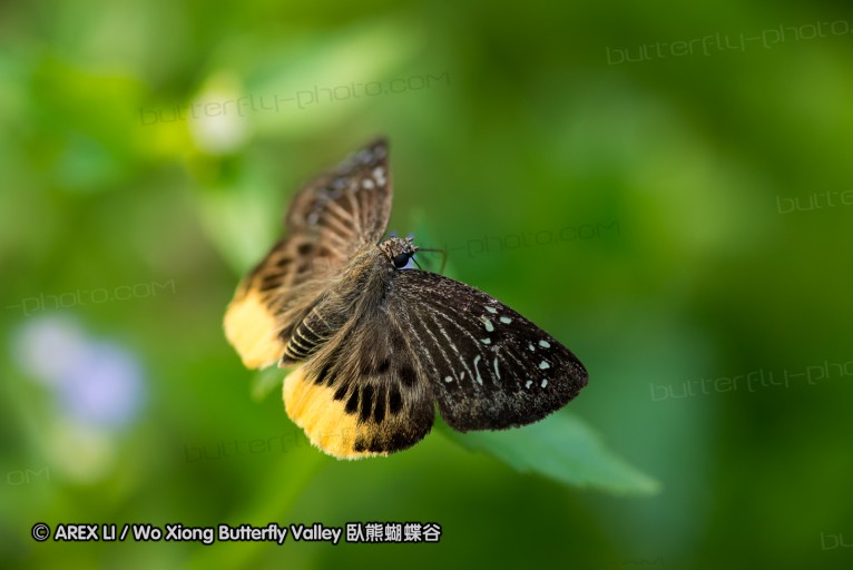 130214_khaolan_68.jpg