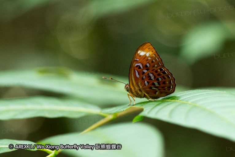 130216_hindad_69.jpg