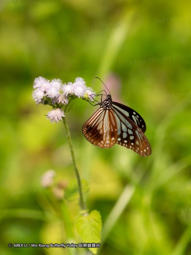 130323_tpk_43.jpg