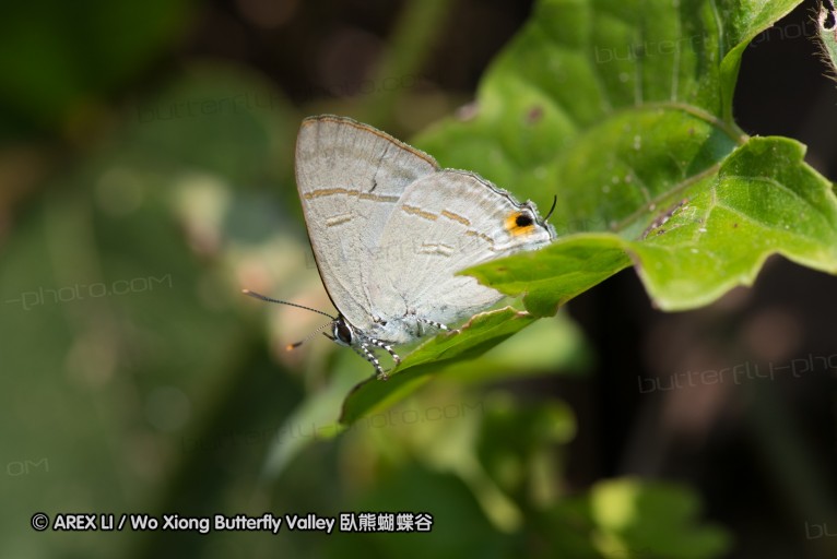 130401_huainamdang_027.jpg