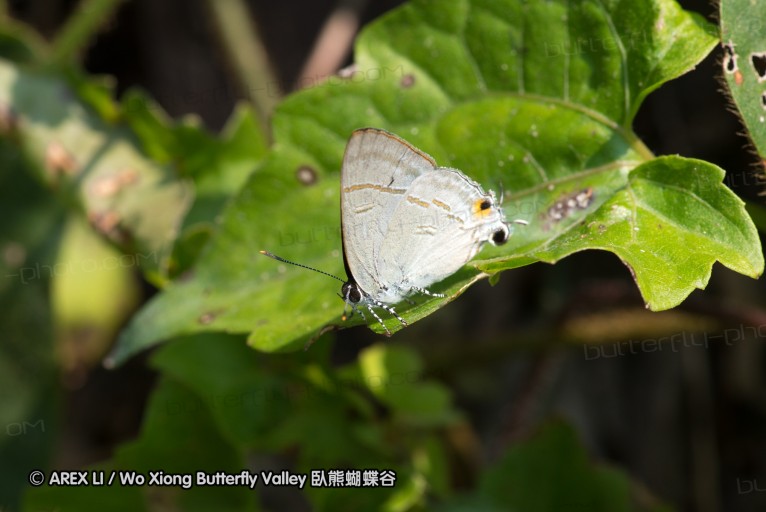 130401_huainamdang_028.jpg