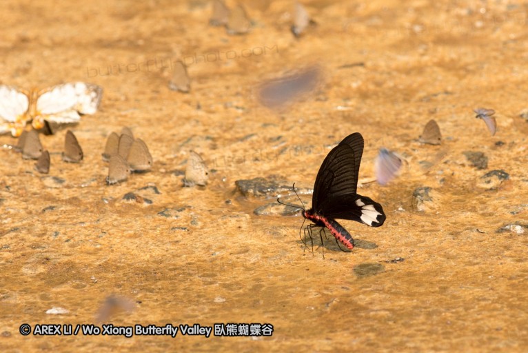 130402_chiangdao_010.jpg
