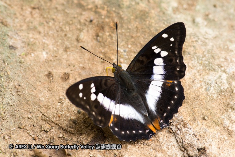 130402_chiangdao_123.jpg