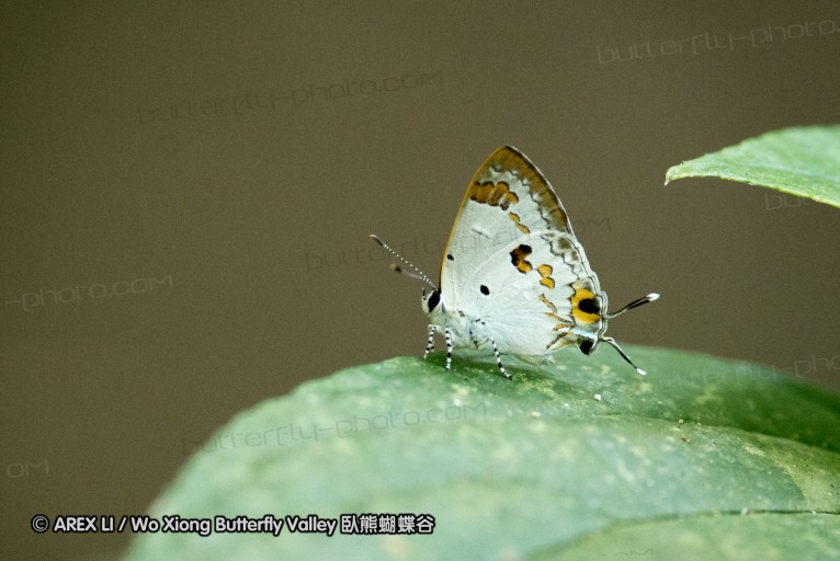 130402_chiangdao_130.jpg