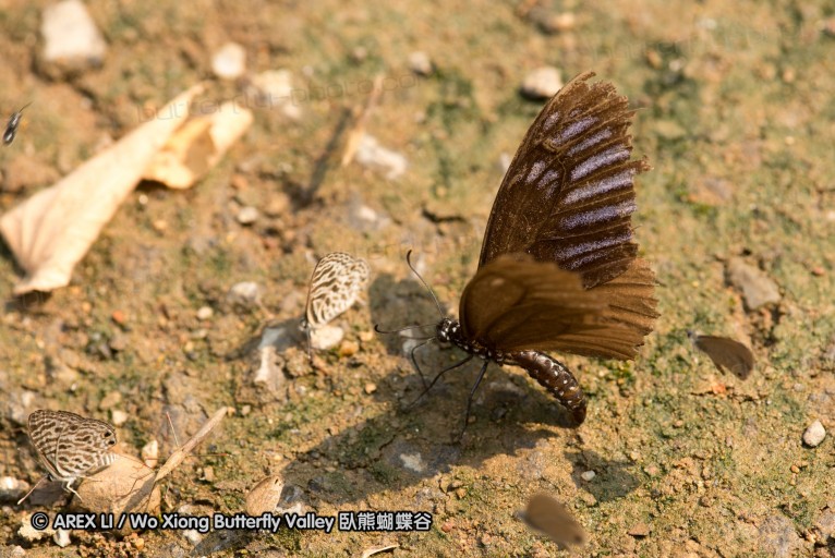 130402_chiangdao_145.jpg