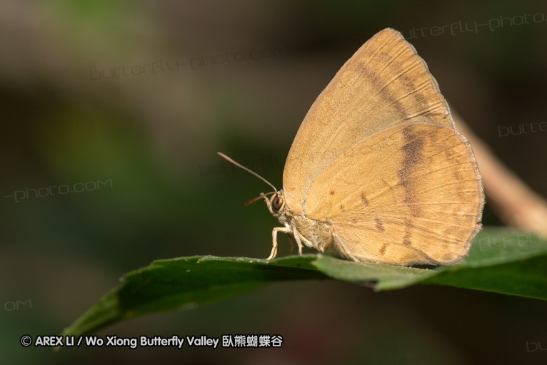 130403_inthanon_132.jpg