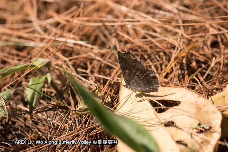 130404_suthep_012.jpg