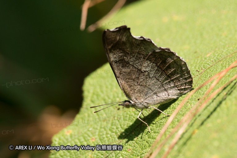 130404_suthep_016.jpg