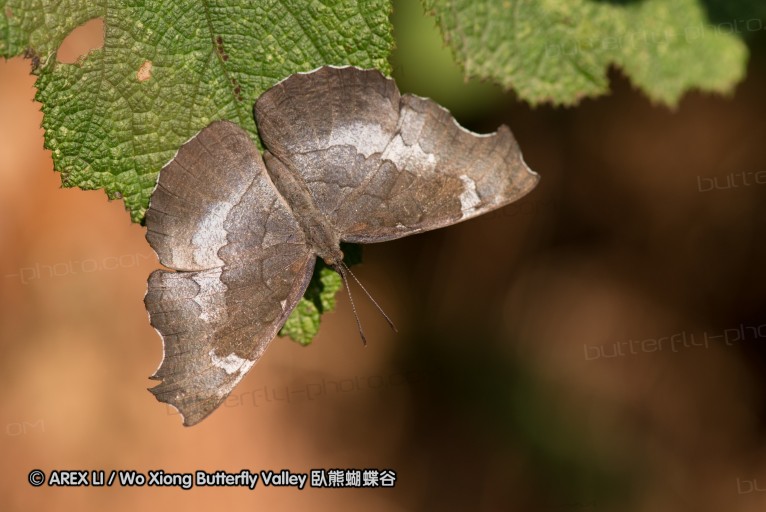 130404_suthep_020.jpg