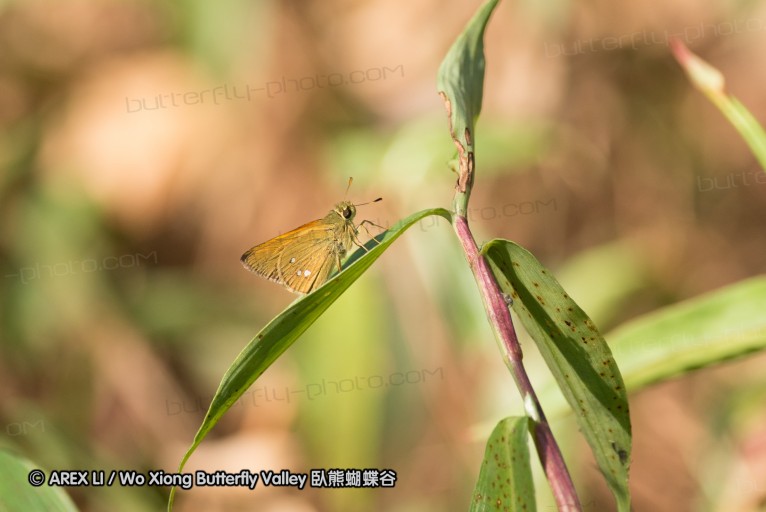 130404_suthep_023.jpg